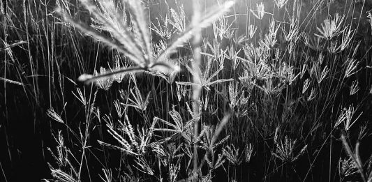 Mengatasi Insting Primitif