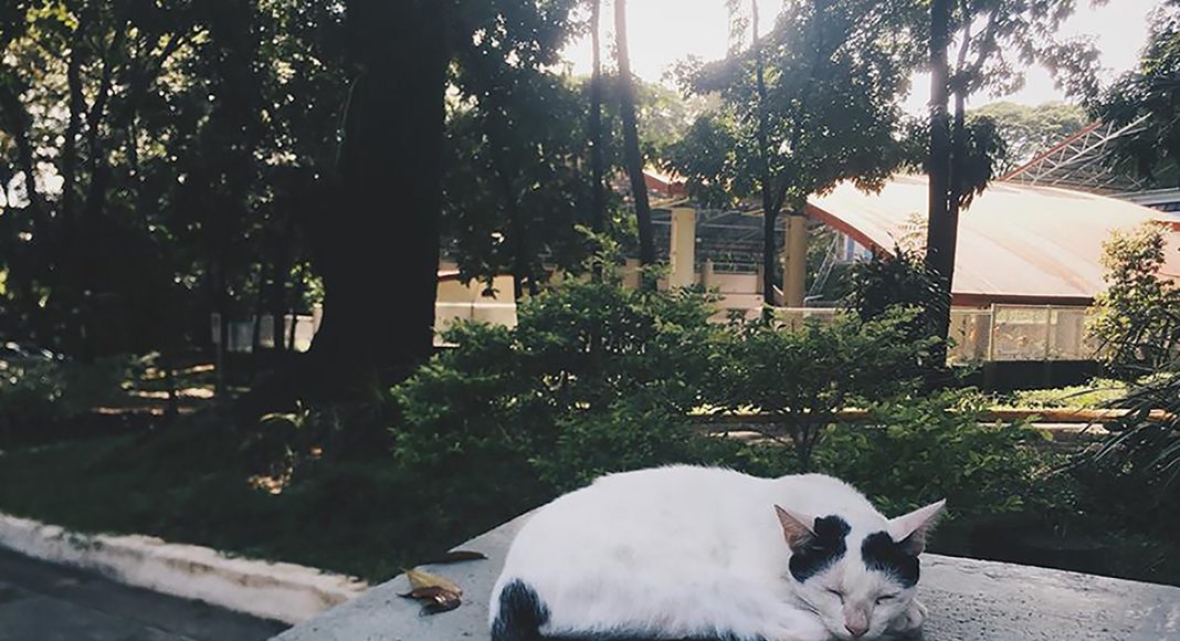 Memikul Kuk Bersama Yesus