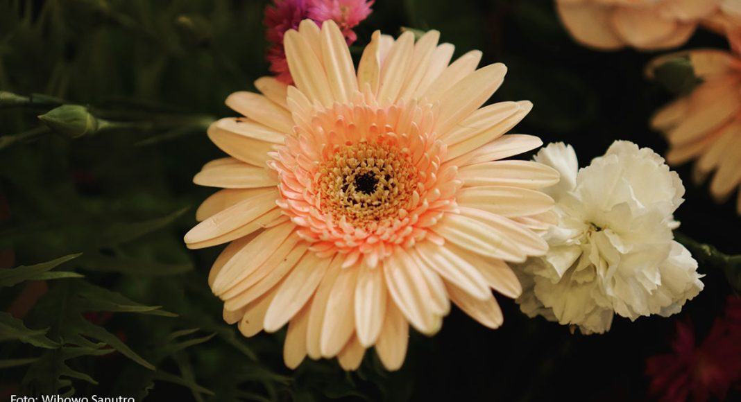 Mendengarkan Suara Tuhan di Tengah Kebisingan Dunia