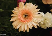 Mendengarkan Suara Tuhan di Tengah Kebisingan Dunia