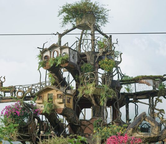 Buah Ketidakpercayaan