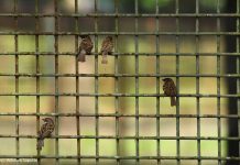 Tergerak oleh Belas Kasihan