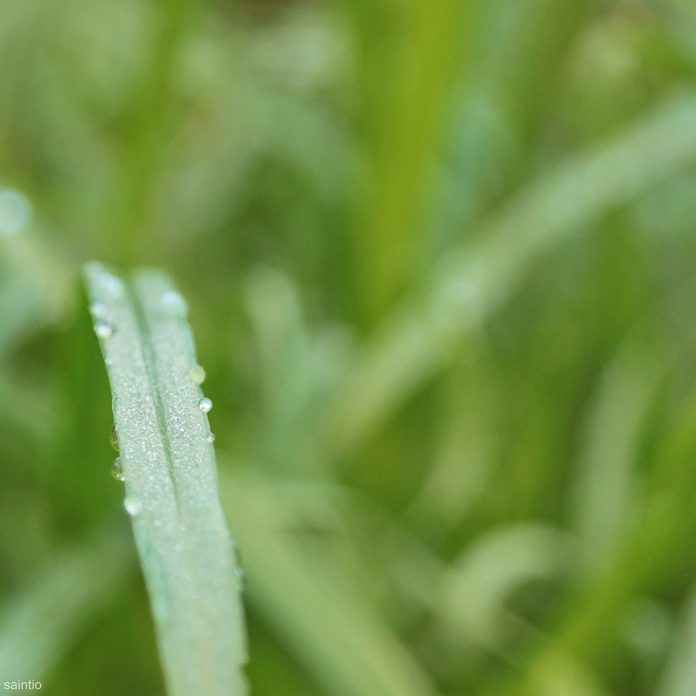 EDITED CI__LBI 18 Des 2025