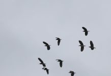 Percaya Sepenuhnya pada Penyelenggaraan Ilahi