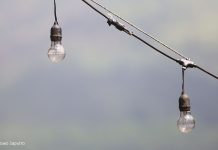 Menjadi Pelita yang Menyala