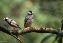 Terus Bertumbuh dan Berkembang