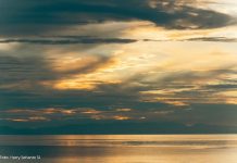 Berseru karena Percaya