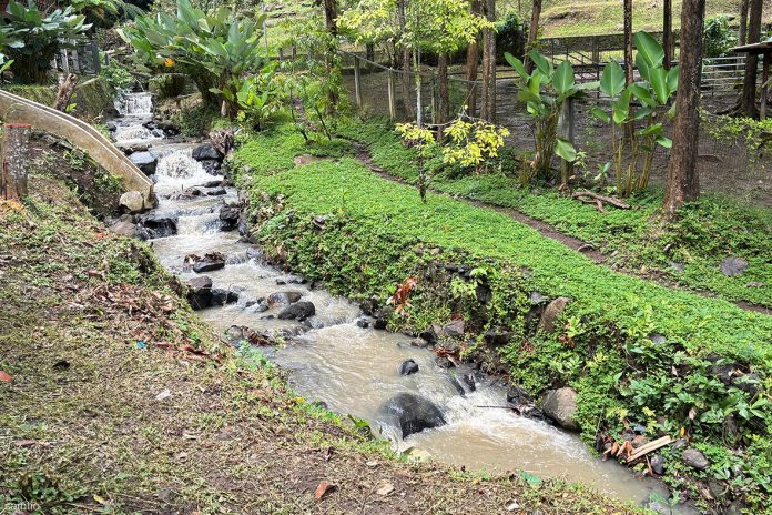 EDITED CI__LBI 11 Jan 2026