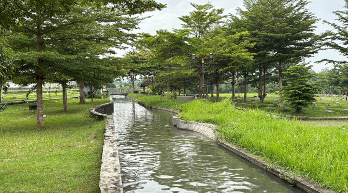 Panggilan Menjadi Murid Yesus