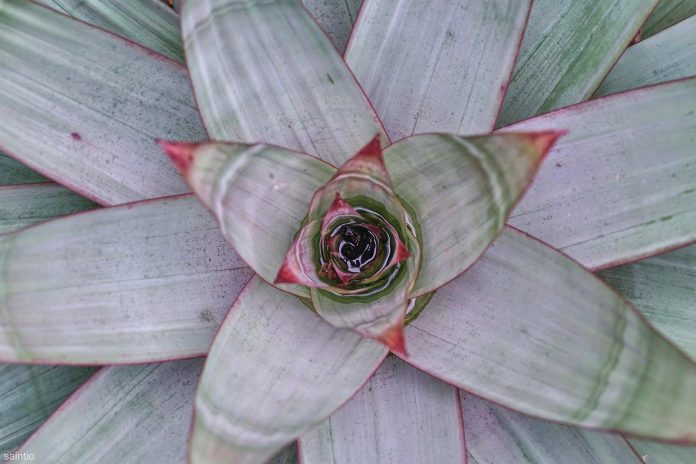 EDITED CI__LBI 15 Jan 2026