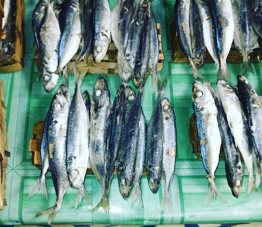 Berapa Roti Ada padamu?