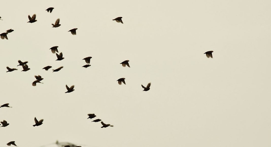 Bermurah Hati seperti Allah Bapa