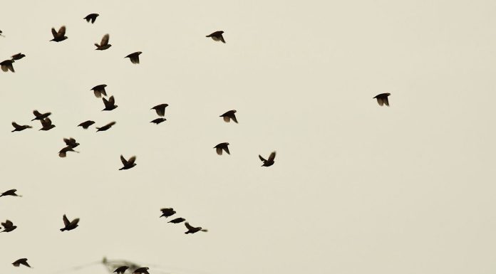 Bermurah Hati seperti Allah Bapa