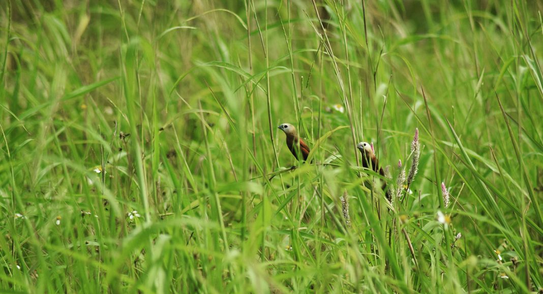 Melayani dengan Rendah Hati dan Penuh Pengorbanan