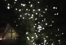 Terbuka untuk Disembuhkan