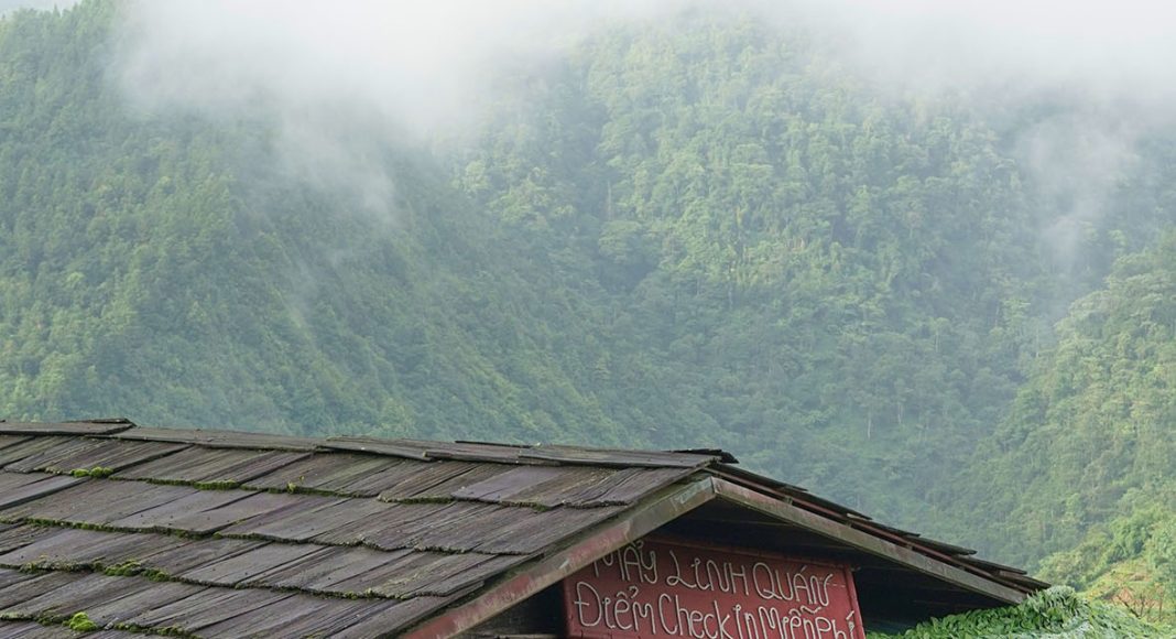 Mendalami Iman yang Murni