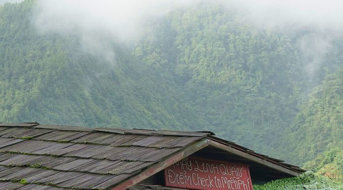 Mendalami Iman yang Murni