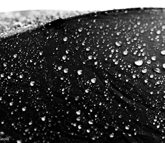 Meja yang Sama, Hati yang Berbeda