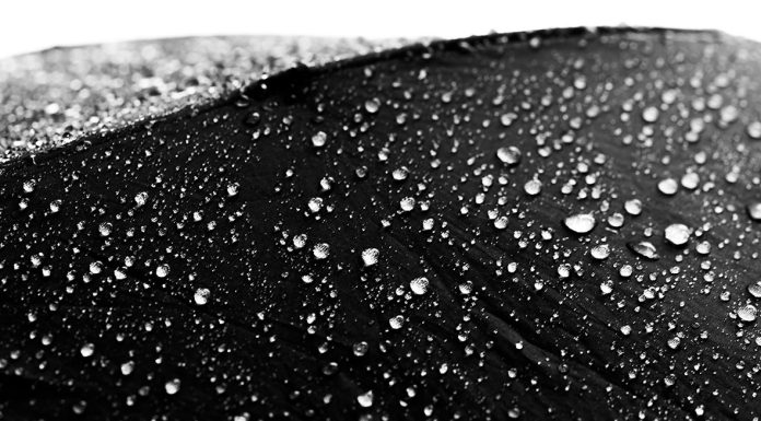 Meja yang Sama, Hati yang Berbeda