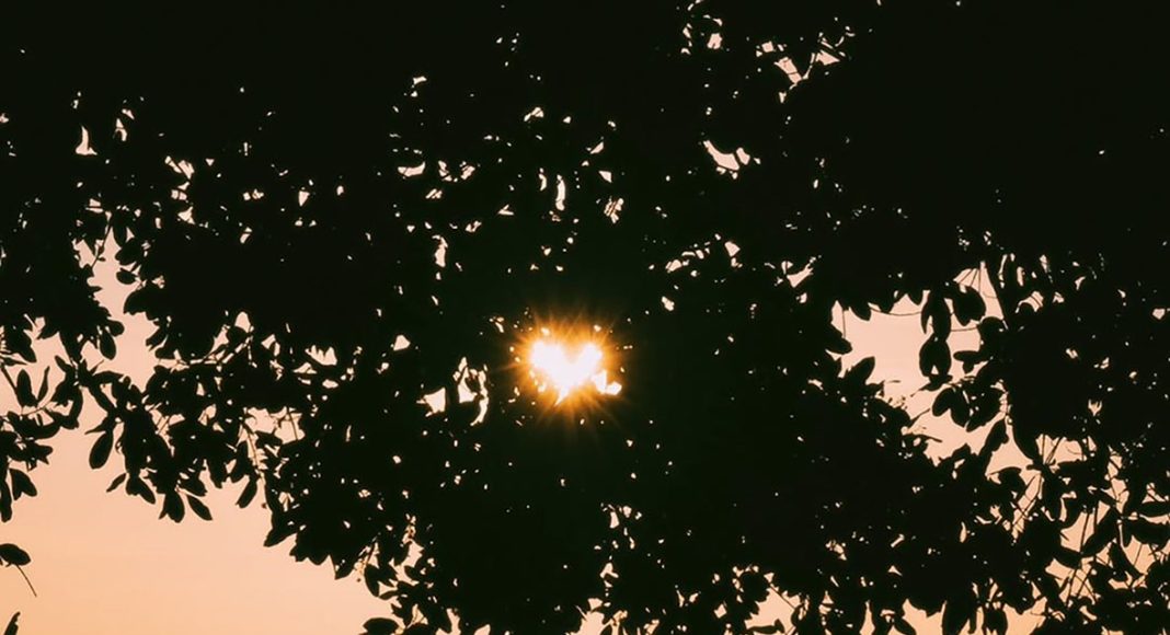 Berani Mengambil Langkah Pertama