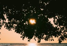 Berani Mengambil Langkah Pertama