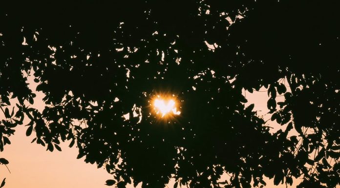 Berani Mengambil Langkah Pertama