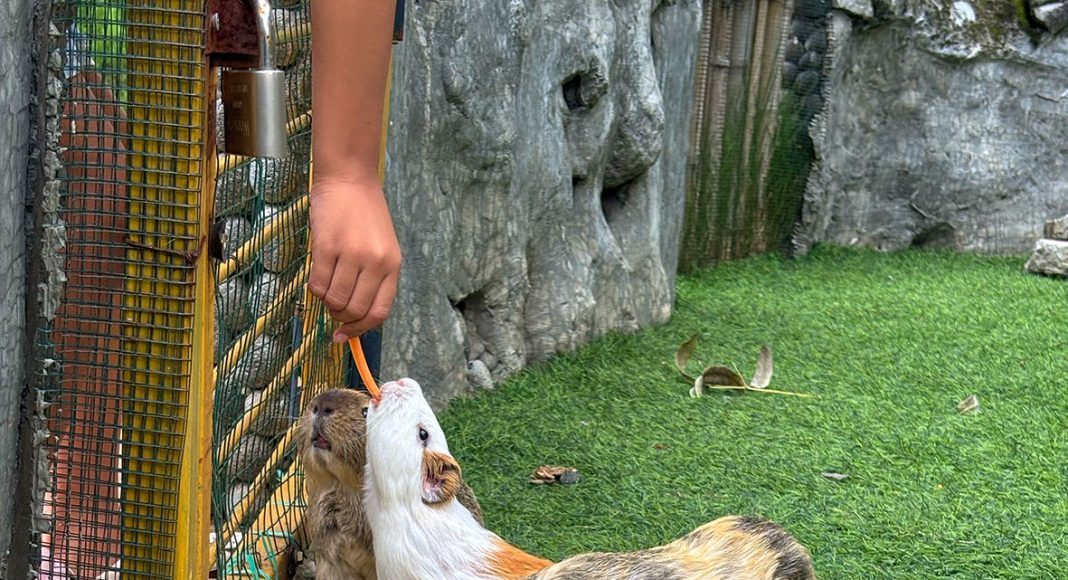 Hati yang Terbuka dan Penuh Kasih