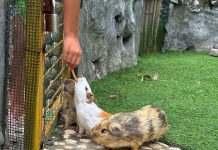 Hati yang Terbuka dan Penuh Kasih