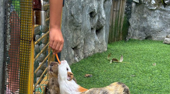 Hati yang Terbuka dan Penuh Kasih