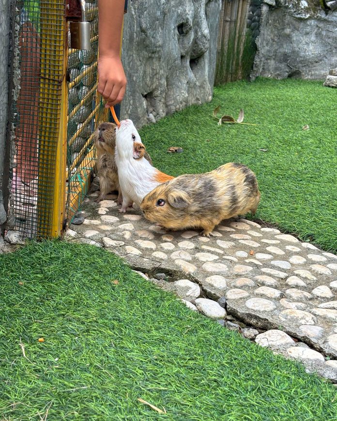 EDITED CI__LBI 27 Maret 2026