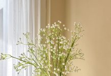 Kehendak Allah dan Tanggapan Manusia