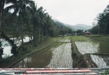 Berbahagialah