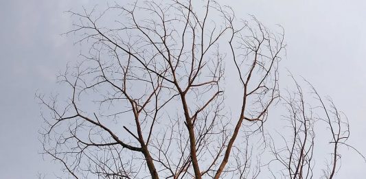 Tip Mendapatkan Ketenangan