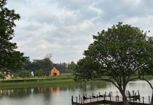 Harta dan Cinta