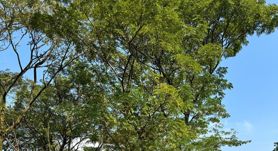 Perihal Kekhawatiran