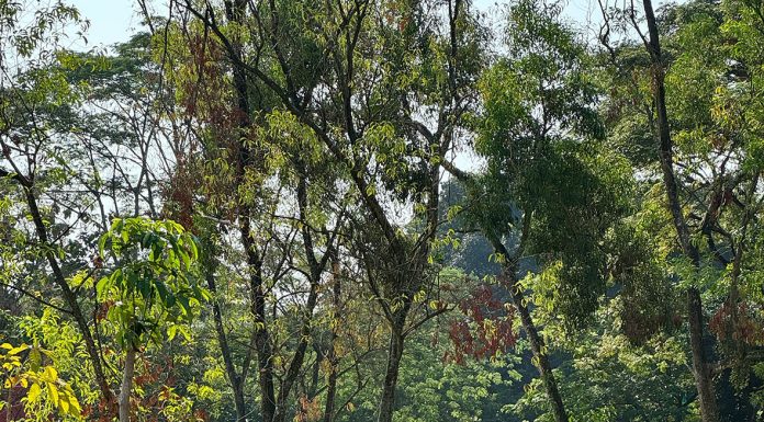 Bersikap, Berbuat, dan Memilih dengan Tepat