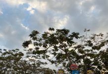 Ketidakpercayaan