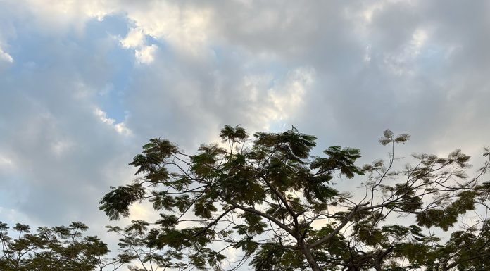 Ketidakpercayaan