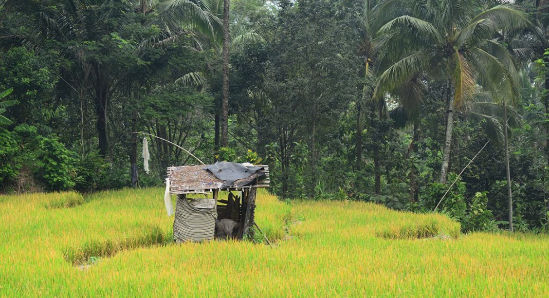 Bahagia Sejahtera