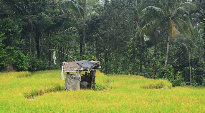 Bahagia Sejahtera