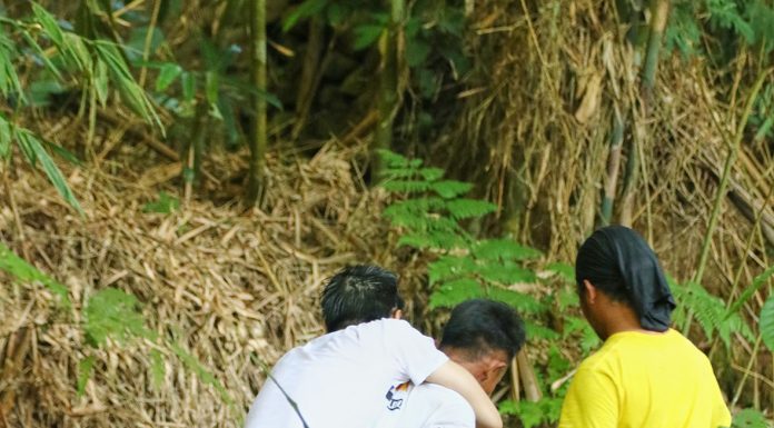 Menjadi yang Kecil untuk Sesuatu yang Besar
