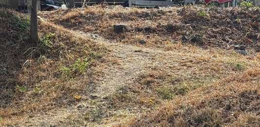 Tuhan Bertindak: Melibatkan